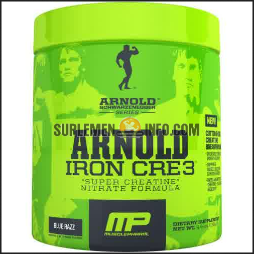 Iron Cre3 Arnold Schwarzenegger Series1
